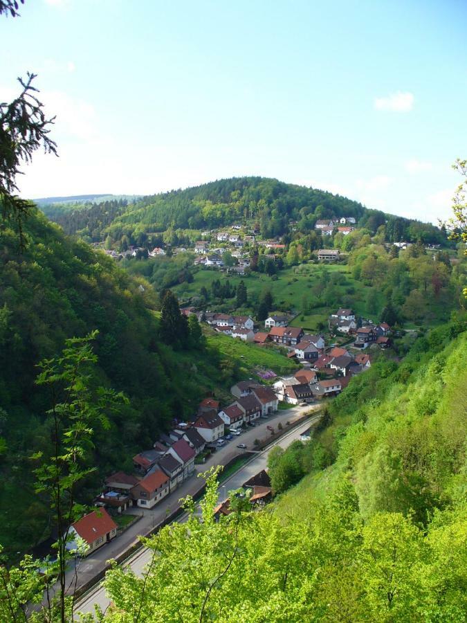 Landhaus Kathrin Walkenried Exteriör bild