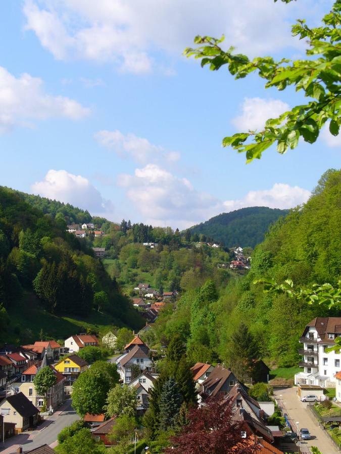 Landhaus Kathrin Walkenried Exteriör bild