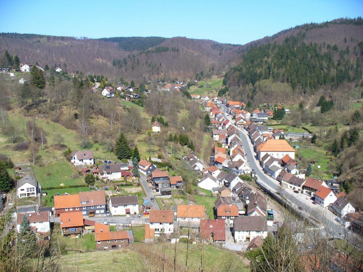 Landhaus Kathrin Walkenried Exteriör bild
